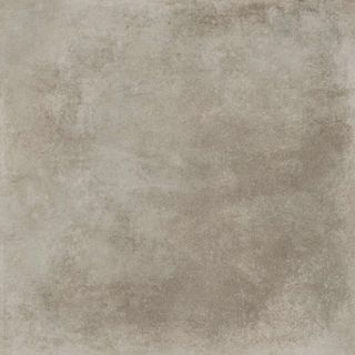 АРГОС/ARGOS серо-коричневая ( х8)