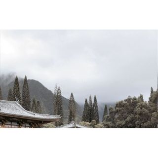 Декор 3 Бамбук бежевый