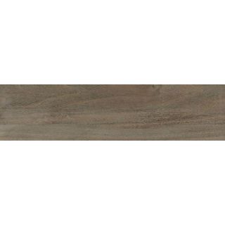 Bianchi brown коричневый PG 01 c 12.01.2021