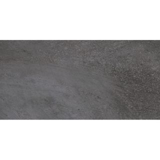 Richmond grey серый PG 02