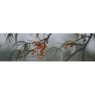 декор Тракай 7 глянцевый