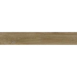 Ajanta-hazel GRS11-14s