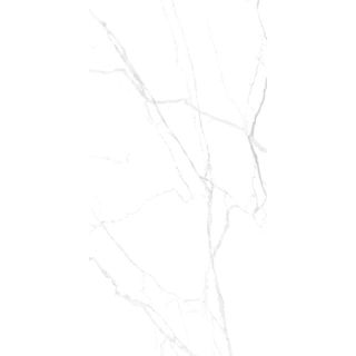 RS 159 (CARVING)