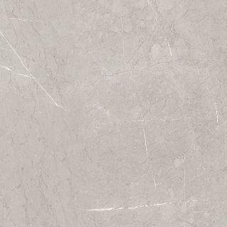 EBRI GRIS