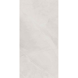 ARMANI HARBOR SILVER (GLOSSY)