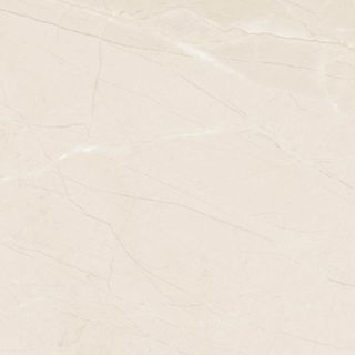 Pulpis ivory E-5026/MR/ x9