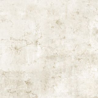 ЧЕЛСИ/CHELSEA светло-серый х9