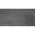 Richmond grey серый PG 02