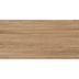Плитка настенная WOOD HONEY